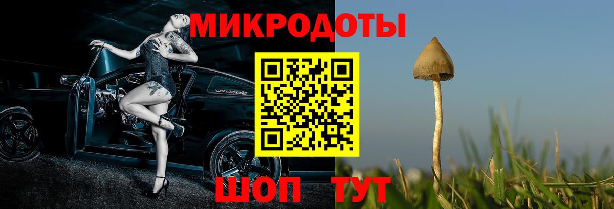 Псилоцибиновые грибы мухоморы  Псилоцибиновые грибы Psilocybe  Тобольск  Вход с VPN 