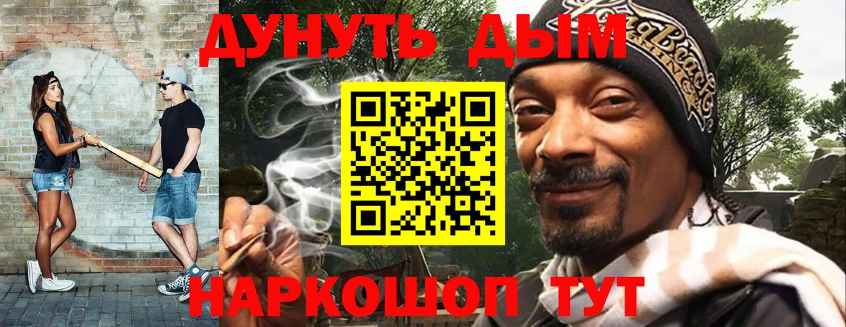 Конопля сатива Тобольск